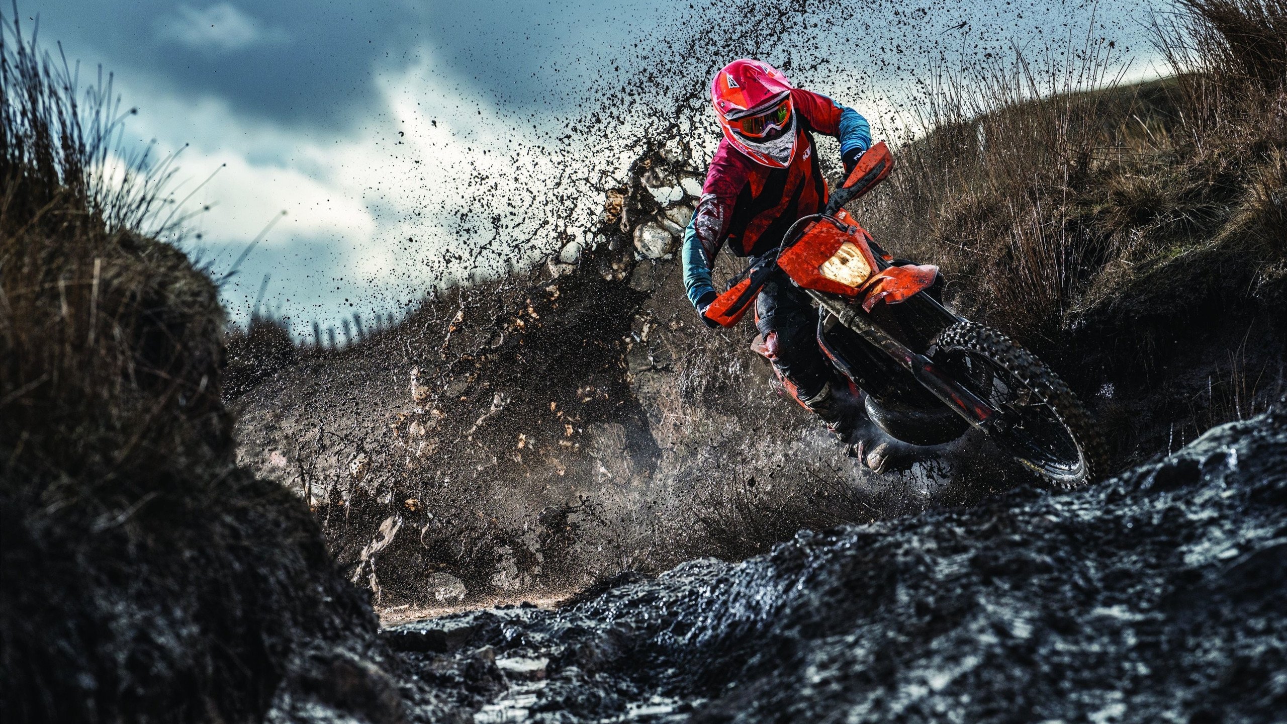 许昕神球点燃赛场，波兰队险胜日本队演绎乒乓史诗